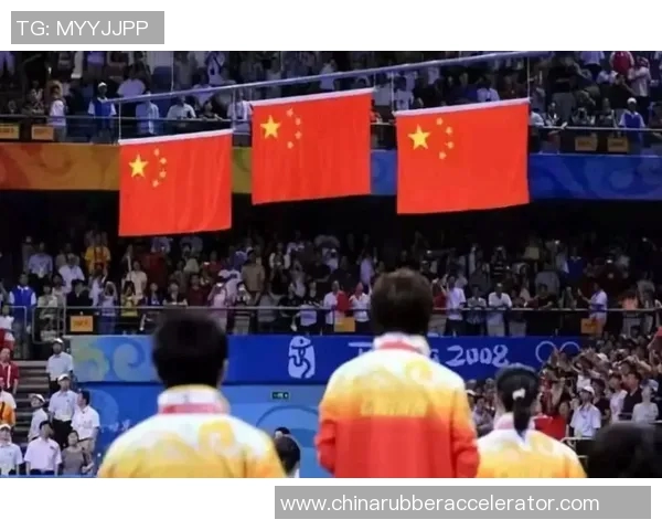 南京乒乓球队的控制策略与技术深度解析探秘乒乓球的魅力与挑战